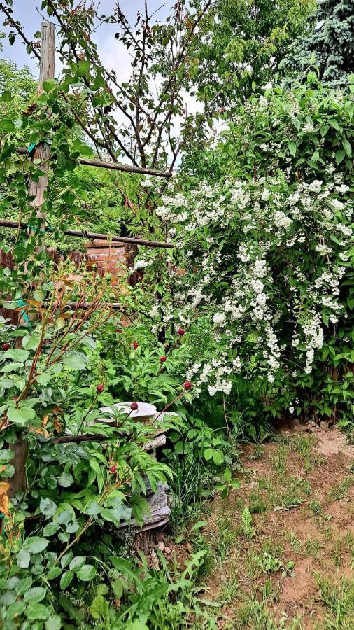 Agroturystyka Pod Kogutem Zamość Exteriör bild