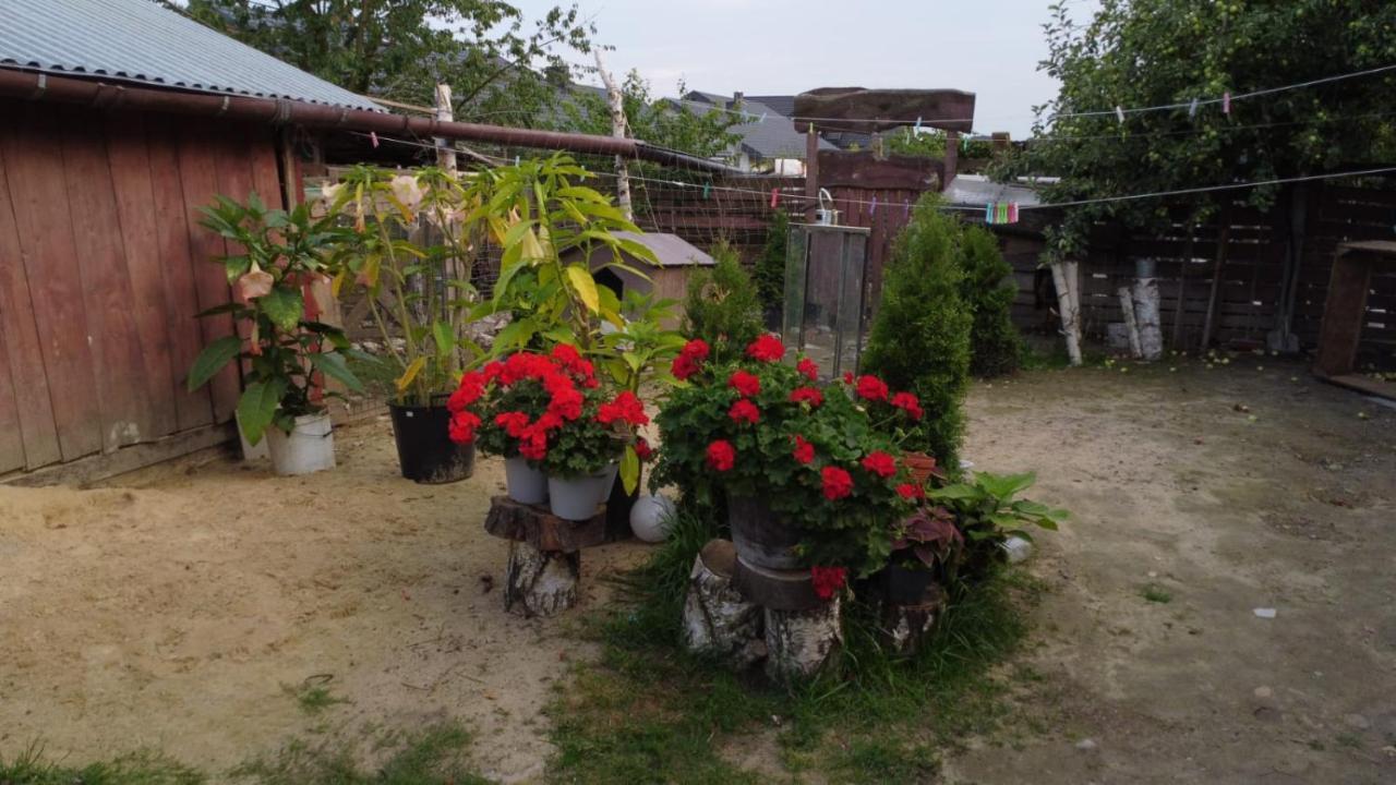 Agroturystyka Pod Kogutem Zamość Exteriör bild